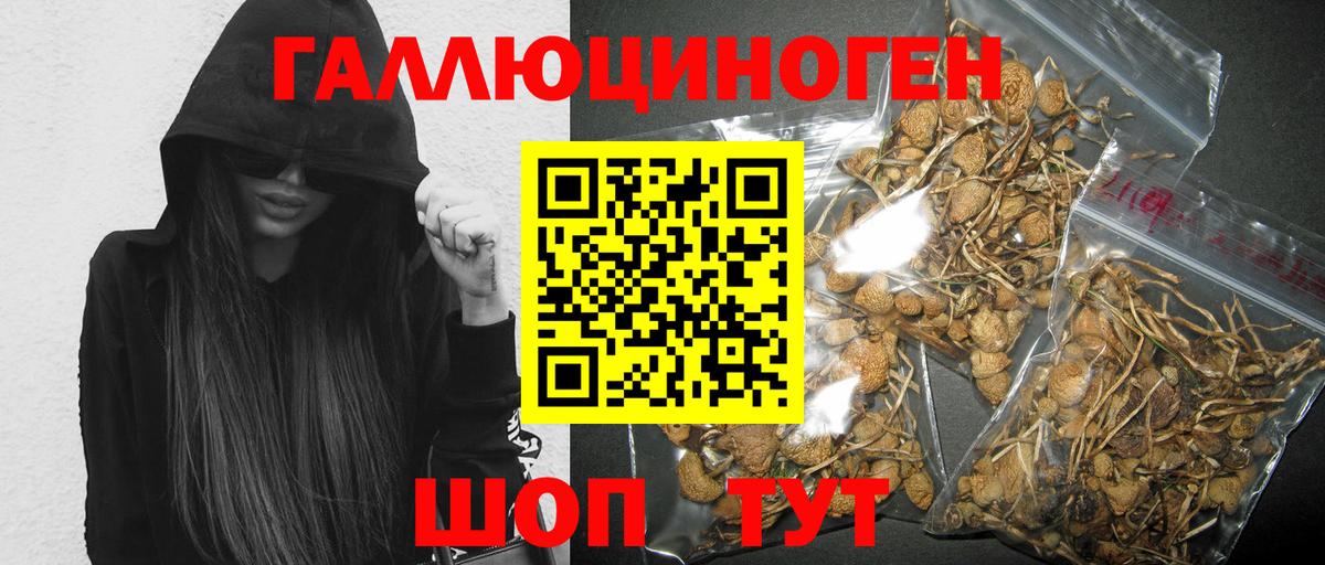 Псилоцибиновые грибы Psilocybe  Вход с VPN  Зерноград  Галлюциногенные грибы Psilocybe 